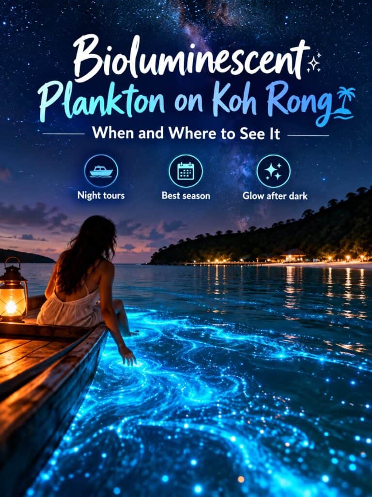 Bioluminescent Plankton on Koh Ron